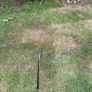 Callaway 3 iron Image 3