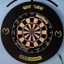 dartboard light and surround Image 2