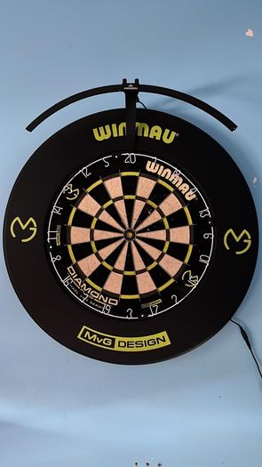 dartboard light and surround