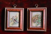 Vintage pair of miniature framed finch pictures