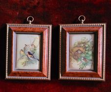 Vintage pair of miniature framed finch pictures
