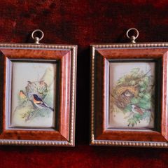 Vintage pair of miniature framed finch pictures