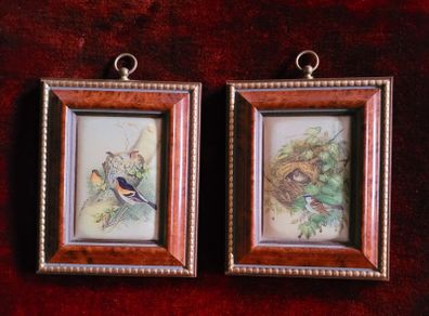 Vintage pair of miniature framed finch pictures