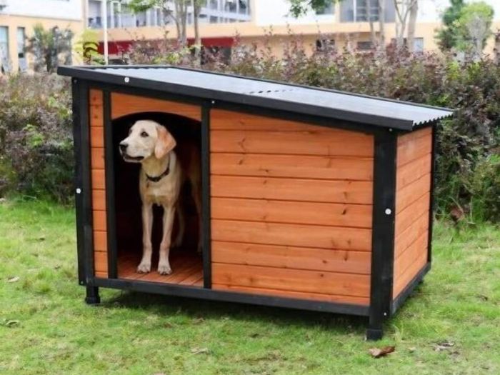 dog kennells fully insulated