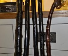 Blackthorn walking sticks