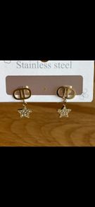 Stainless steel earrings