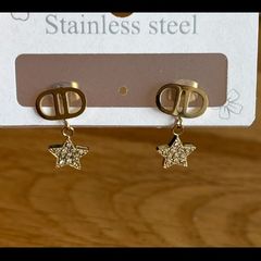 Stainless steel earrings