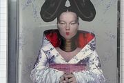 Bjork Homogenic CD