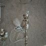 Light wall sconces x 2 silver brand new Image 7