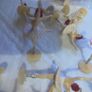 Cake Toppers Image 2