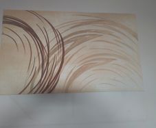 Picture on Canvas.