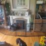 Child Safety Gate Image 2