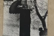 Neil Young Love at the Cellar Door Vinyl