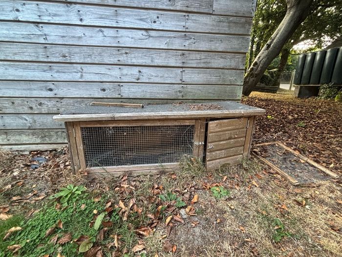 Rabbit Hutch