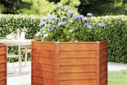 Garden Raised Bed