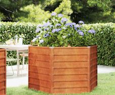 Garden Raised Bed