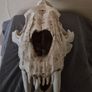 1/1 resin copy of a saber tooth cat skull. Image 5