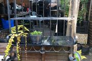 Shelving Stand metal