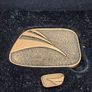 Gaisce The Presidents Aword Medal and Pin Image 3