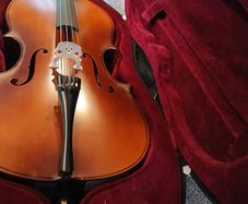 Cello