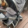 Buggy Image 9
