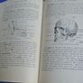 An Elementary Textbook Of Anatomy - By Henry Edward Clark (1936) Image 2