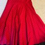 Beautiful H&R Swing Dress With Petticoat Image 3