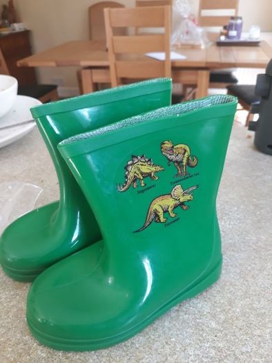 Kids Green Dinosaur Wellies Various Sizes Available