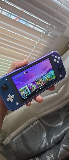 Nintendo switch lite+ game's