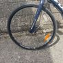 Fuji absolute size L Image 2