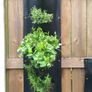 Vertical Wall Planter Clever Pot Image 2