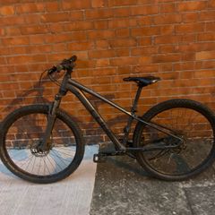 Cube mountain bike