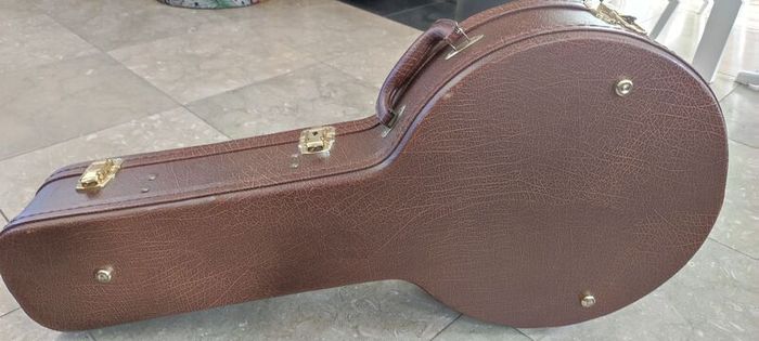 Hard case for 17 fret short banjo