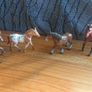 Horses Image 2