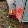 Horse Box Image 7