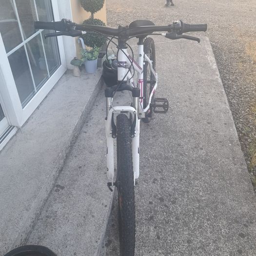 Adult bicycle