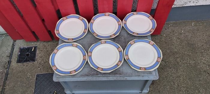 Karmony Shape Rose Pattern Vintage Dinnerware