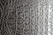 alligator vinyl