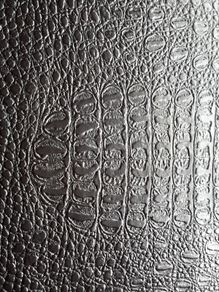 alligator vinyl