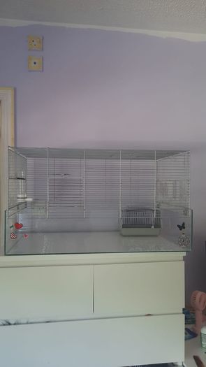Hamster/Bird Cage