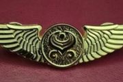 Hainan (grand china) airlines flight attendants badge.