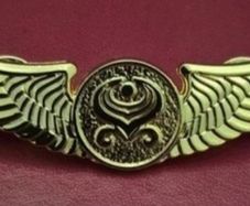 Hainan (grand china) airlines flight attendants badge.