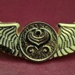 Hainan (grand china) airlines flight attendants badge.