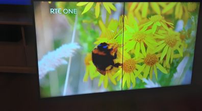 50" Samsung TV Please Read