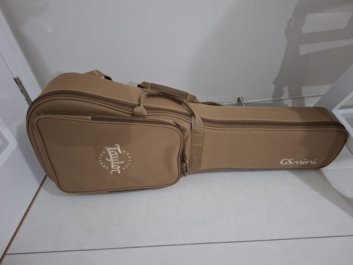 taylor gs mini gigbag