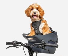 Dog Bike Carrier