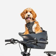 Dog Bike Carrier