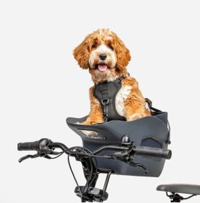 Dog Bike Carrier