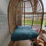 Furniture  Kids Egg chair Image 2