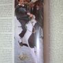 The World of The Irish Horse / 1992 Image 8